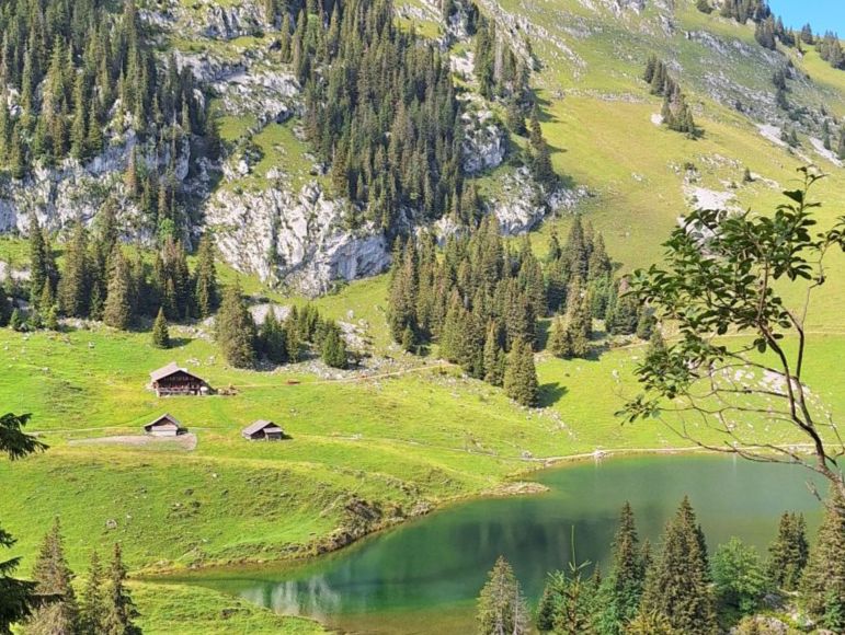 Hinterstockenalp